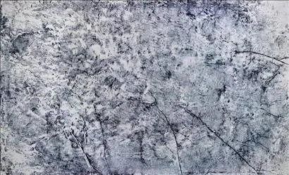 2021057