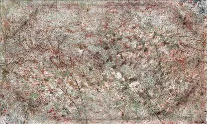 2021063