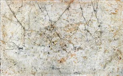 2021059