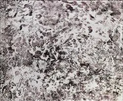 2021041
